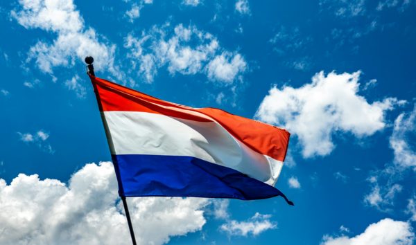 Dutch E-commerce Grows Despite Decline in Product Purchases