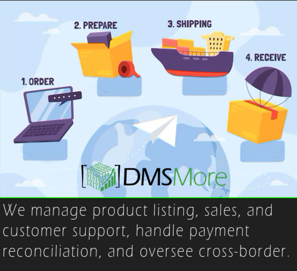 DMSMatrix Launches DMSMore to Help Indian Sellers Reach Global Markets